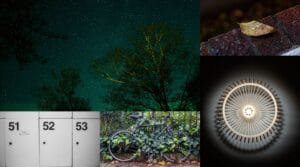 January: Minimalism / Connection