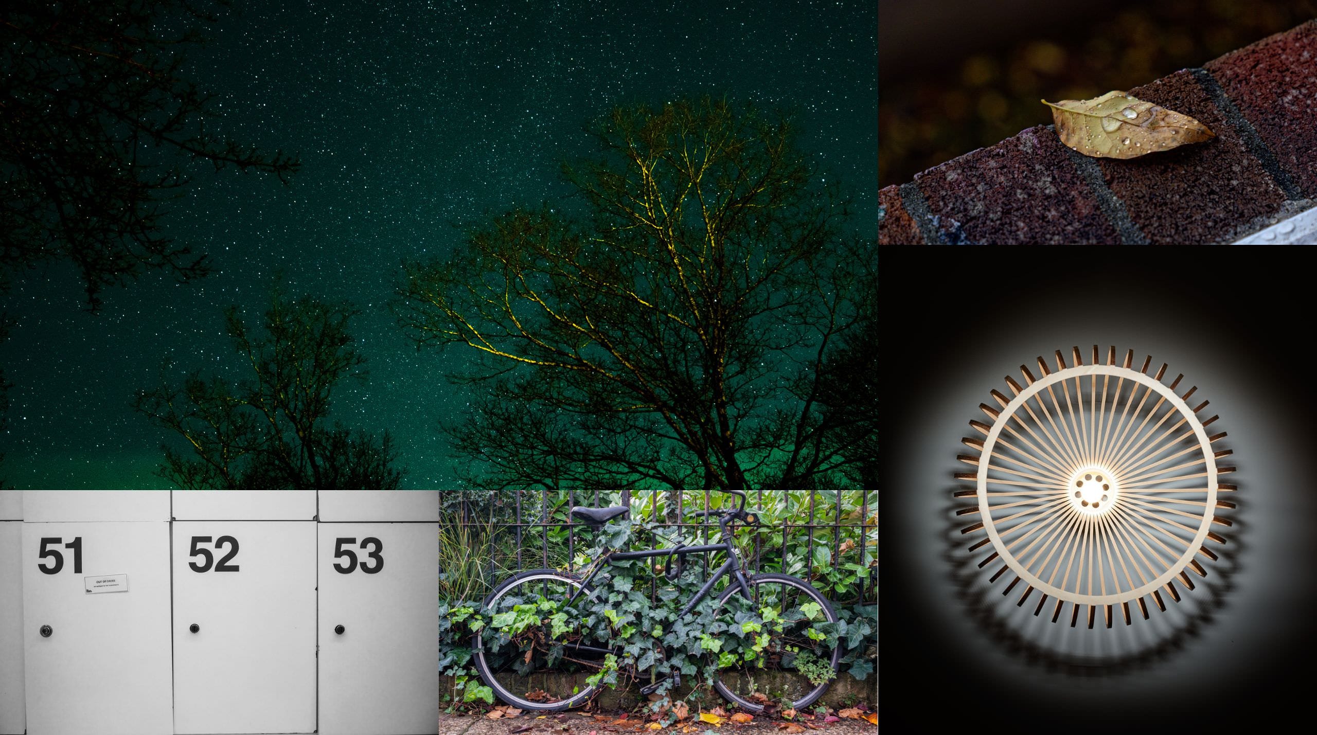 January: Minimalism / Connection