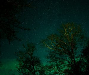 Dave Lederer Christmas Sky