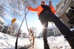 Dave Lederer Animals