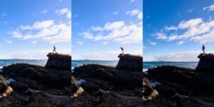 Gabriel Legaland Animals Photostory