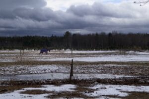 Gabe Legaland Rural Life