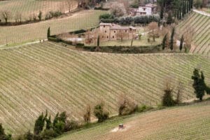 Paul Griffin Rural Life